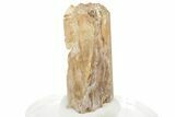 Imperial Topaz Crystal - Zambia #231320-1